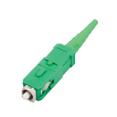 31sc 01395 v01 1.jpg